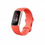 FIT10006_1