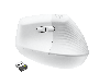 LOG910006496_1