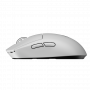 LOG910006639_6