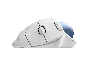 LOG910007030_2