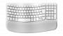 LOG920012299
