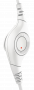 LOG981001286_5