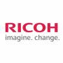 RIC21317