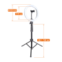 ROL90127_4