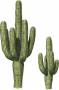 TOM29041_2