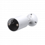 TPL00031