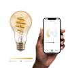 Smart Bulb A60 CCT Filament (E27), Amber