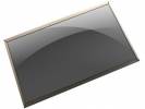  RAW PANEL 15.6 LED HD SVA AG