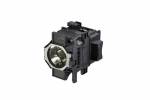  ELPLP81 Projector Lamp (1x)