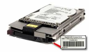 HotSwap HD,9GB,80PIN,1"