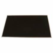 PNL DSPLY 10.1 FG WBC/MC AG LE