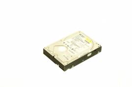 30GB ATA100/DPS Hard Drive