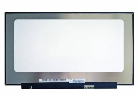  17,3" LCD FHD Matte