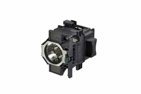  ELPLP81 Projector Lamp (1x)