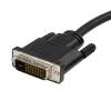 STARTECH DP2DVIMM10 10 ft Displayport to