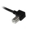 StarTech.com USB 2.0 USB-kabel 2m Sort