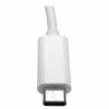 EATON TRIPPLITE USB-C to Gigabit Adapter