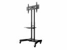 M Public Floorstand Bsic/shelf/camholder