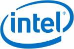 Intel Remote Management Module 4 Lite 2 Adapter for fjernadministration