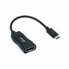 i-Tec USB-C Display Port Adapter Ekstern videoadapter