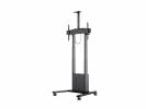 M Motorized Floorstand Incl cabinet+cam