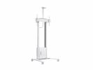 M Motorized Floorstand Incl cabinet+cam