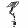 StarTech.com Desk Mount Laptop Arm, Full Motion Articulating Arm for Laptop or Single 34 Monitor, VESA Mount Laptop Tray Bracket, Ergonomic Adjustable Notebook Stand, Desk-Clamp - Tilt/Swivel/Rotate (ARMUNONB1) Monitor / notebook Stativ