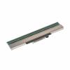 Printhead 300 DPI for TJ-41xx
