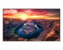 Samsung 55" UHD/4K 16:9 QM55B edge-LED