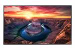 Samsung 43" Wide 16:9 QM43B-T