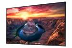 Samsung 43" Wide 16:9 QM43B-T