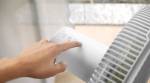 Philips 2000 series CX2550 K&oslash;leventilator Hvid