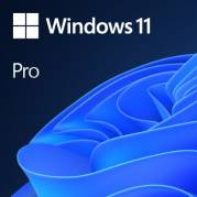 MS 1x Win 11 Pro 64Bit DVD OEM (EN)