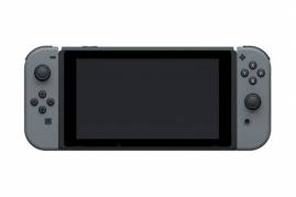 Nintendo Switch Gray Joy-Con