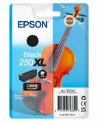 EPSON Singlepack Black 250XL ink No Tag Single