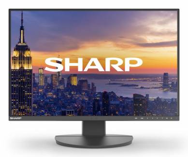 Sharp MultiSync EA242W 24 IPS 1920 x 1200 (WUXGA) HDMI DisplayPort 60 Hz