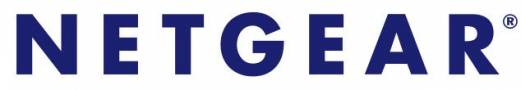 NETGEAR Layer 3 License Upgrade Licens