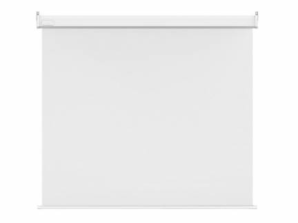 M 1:1 Motorized Projection Screen Dlx80"