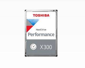 BULK X300 Perfor Hard Drive 4TB 256MB