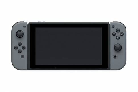Nintendo Switch Gray Joy-Con