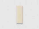 Mood Wall glastavle 500x1500 mm