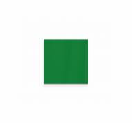 Lintex Mood Wall glastavle 50x50 cm Fearless grøn 41532-570