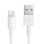 Apple Lightning to USB Cable, White (0.5M)