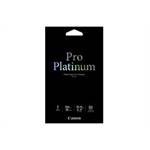  Pro Platinum PT-101 10x15 (50)