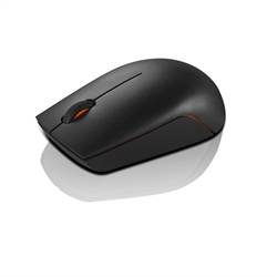  300 Compact Wireless Mouse