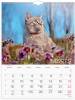 Vægkalender Katte 2026