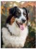 Vægkalender Hunde 2026