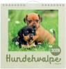 Vægkalender mini Hundehvalpe 2026