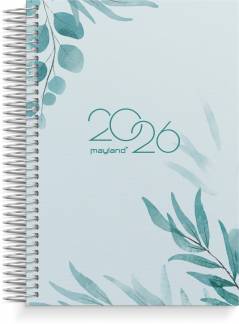 Dagkalender mønstret karton 2026