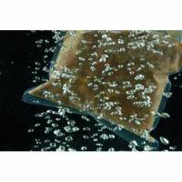 Vacuumpose 130x260 mm 90 my Bundsvejs PA/PE